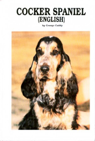 Cocker Spaniel (English) - George Caddy